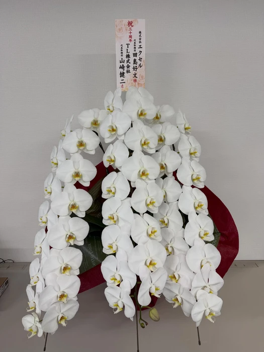 画像234