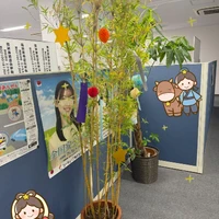画像264