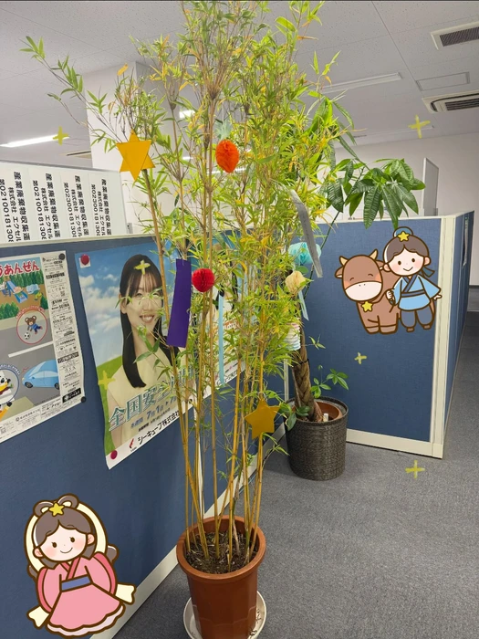 画像264