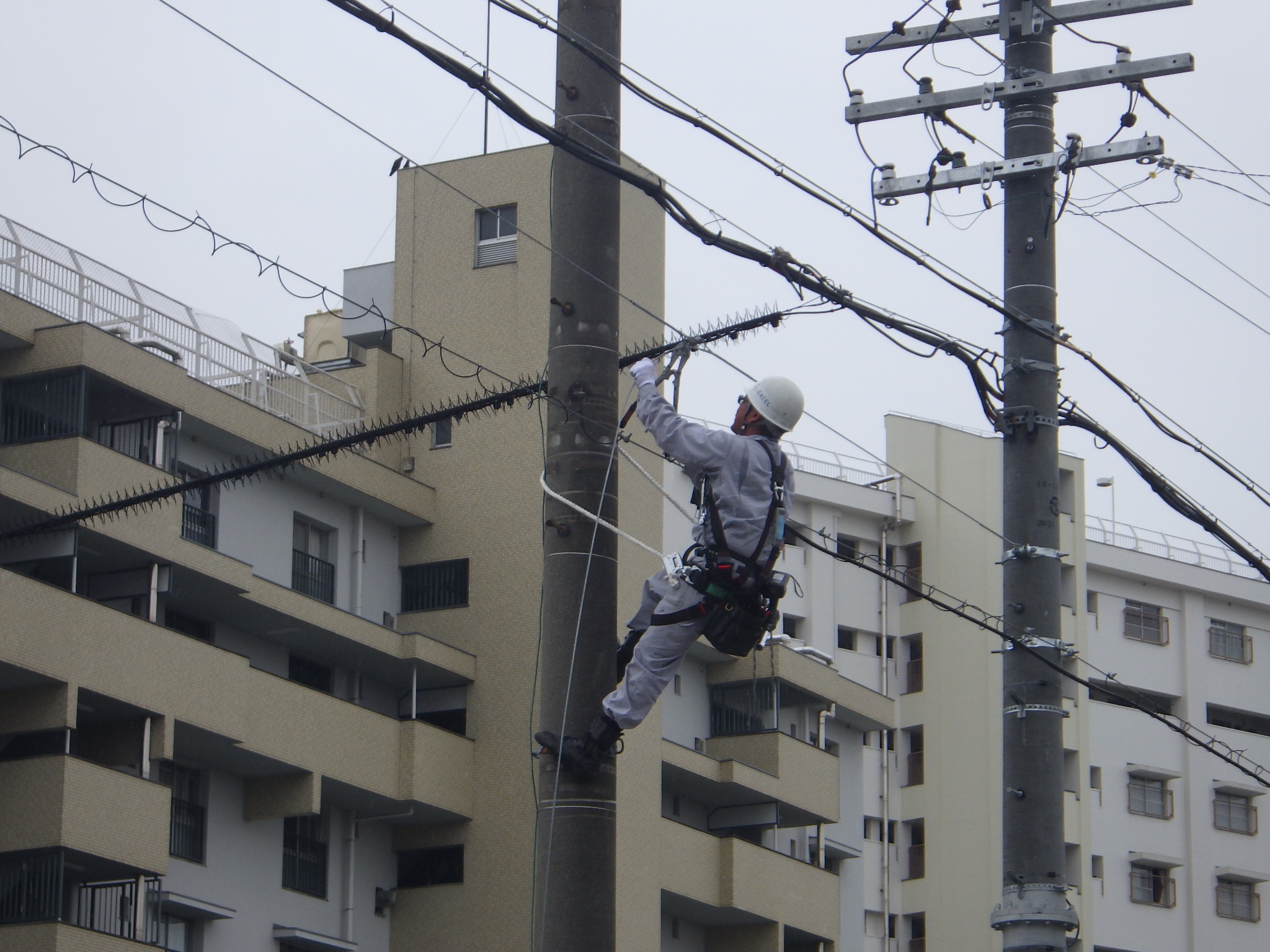 安定した経営基盤で安心な職場