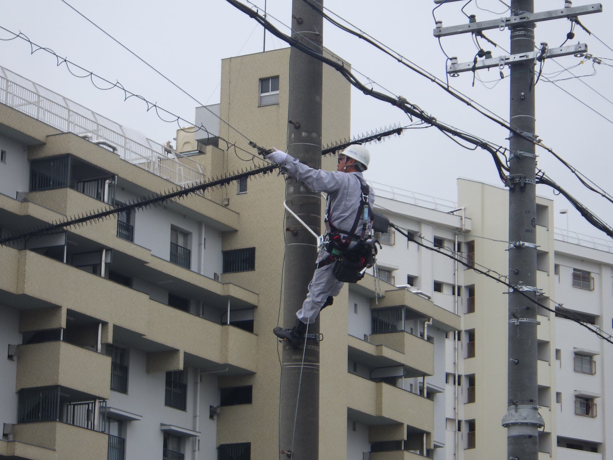 今すぐお問い合わせを！